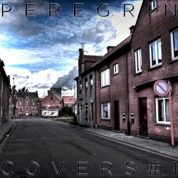 Covers #1