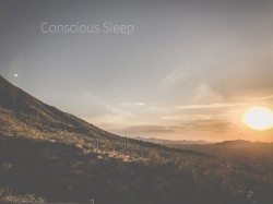 Conscious Sleep