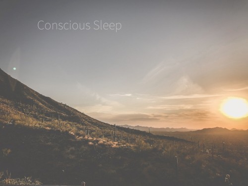 Conscious Sleep