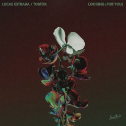 Looking (For You)
