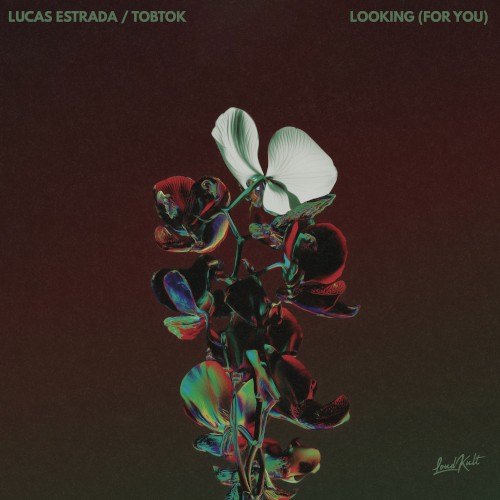 Looking (For You)