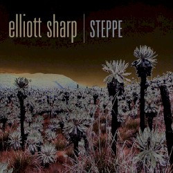 Steppe