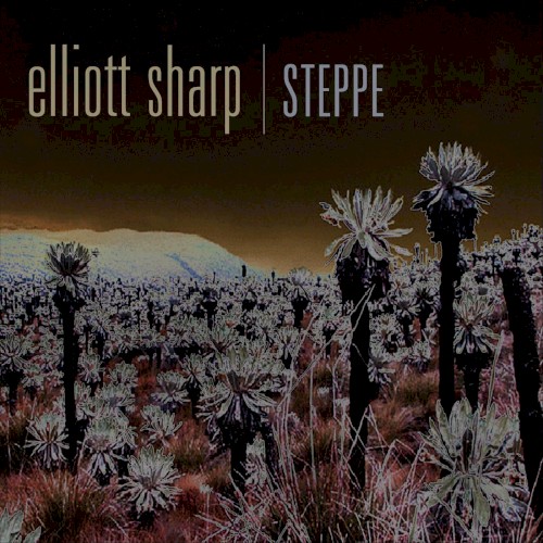 Steppe