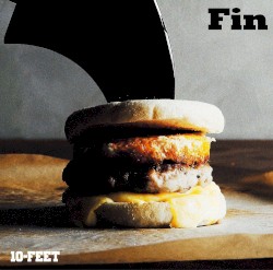 Fin