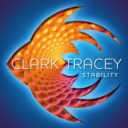 Stability