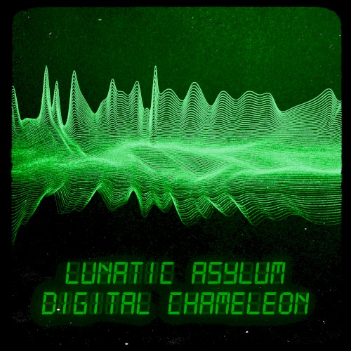 Digital Chameleon