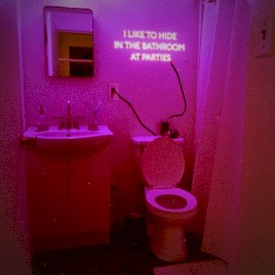 I Like to Hide in the Bathroom at Parties