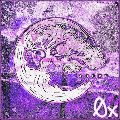 0x
