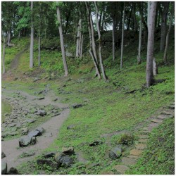 Incline Towards