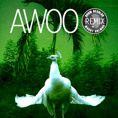 Awoo (Adam Aesalon & Murat Salman remix)