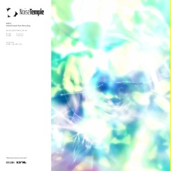 NoiseTemple Raw Recording