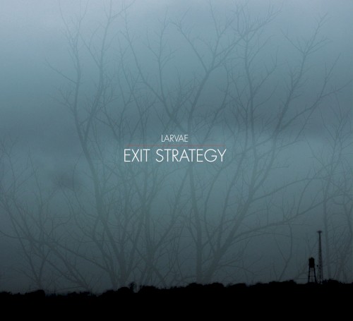Exit Strategy