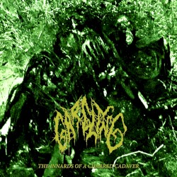 The Innards Of A Charred Cadaver