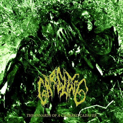 The Innards Of A Charred Cadaver