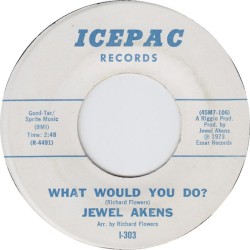 What Would You Do / Since I Don’t Have You