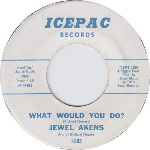 What Would You Do / Since I Don’t Have You