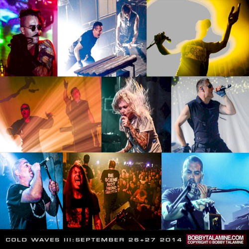 Cold Waves Live Album Sampler II