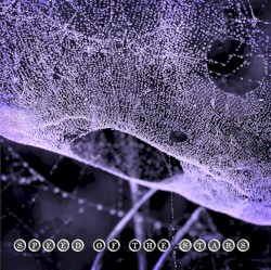 Speed of the Stars