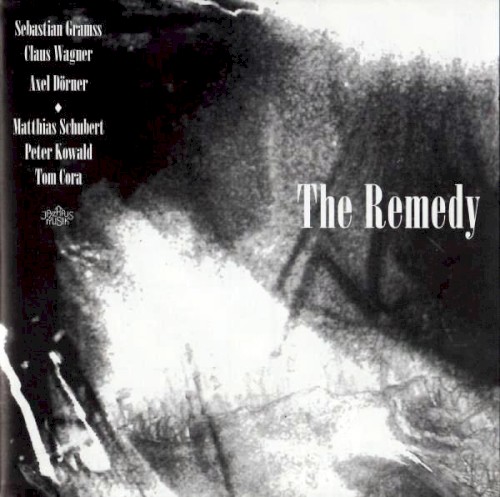 The Remedy