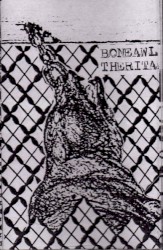 Bone Awl / The Rita