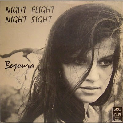 Night Flight Night Sight