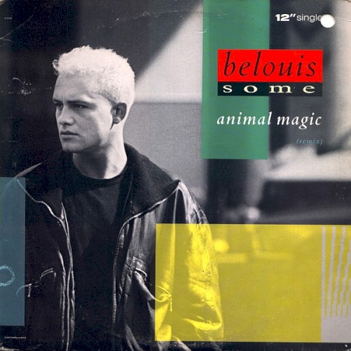 Animal Magic
