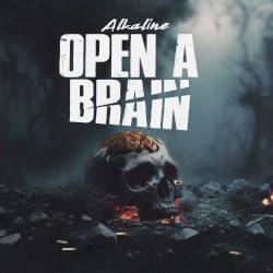 Open A Brain