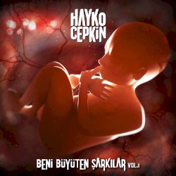 Beni Büyüten Şarkılar Vol.1