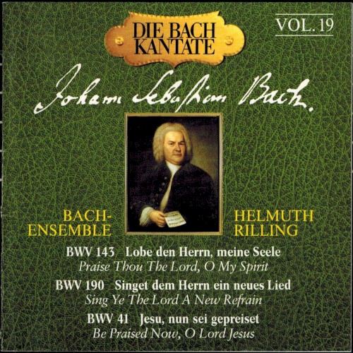 Die Bach Kantate, Volume 19: BWV 143, 190, 41