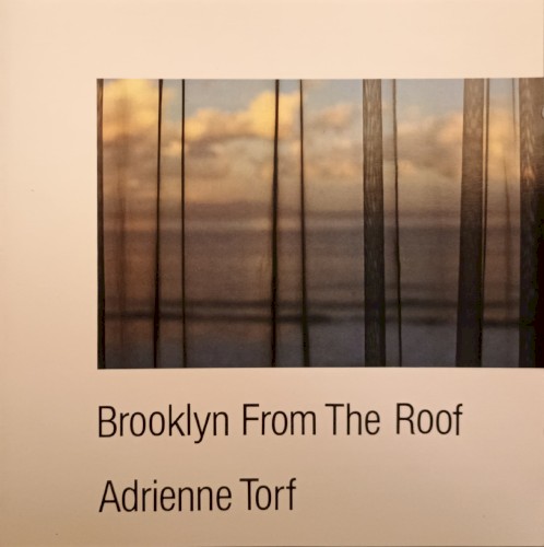 Brooklyn from the Roof