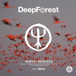Sing With the Birds (Onuka remix)
