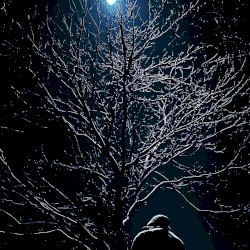 Nightworld