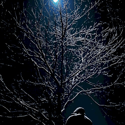 Nightworld