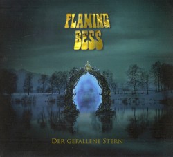 Der gefallene Stern