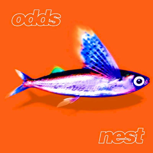 Nest