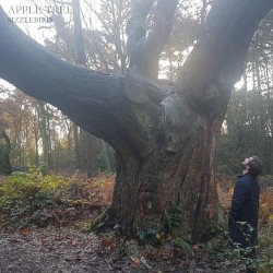 Apple Tree