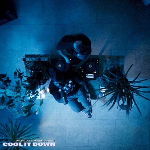 Cool It Down (extended mix)