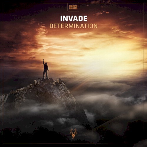 Determination