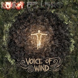 The Voice of Wind