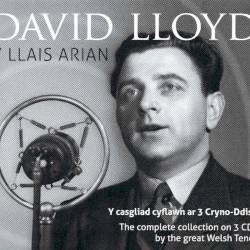 Y Llais Arian