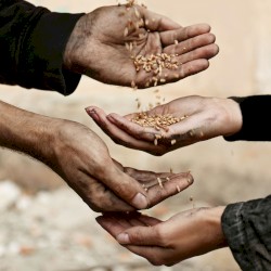Salt of the Earth