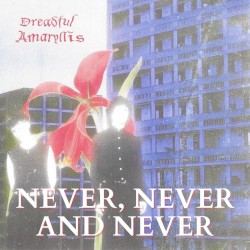 Never, Never and Never
