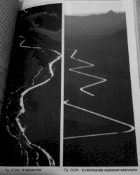 The Flows EP