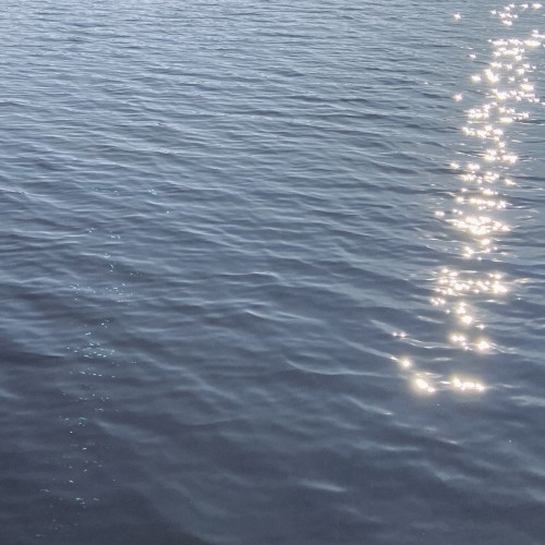 waving reflection
