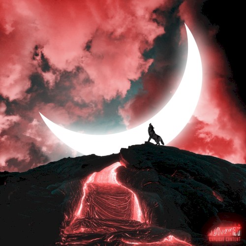 Night of the Wolf