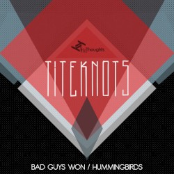 Bad Guys Won / Hummingbirds