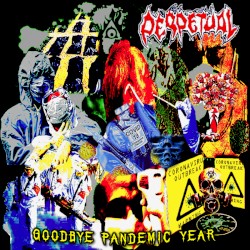 Goodbye Pandemic Year