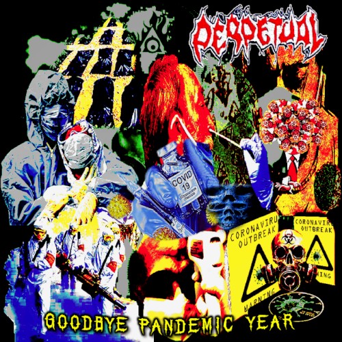 Goodbye Pandemic Year