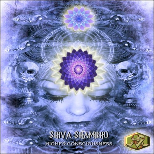 Higher Consciousness