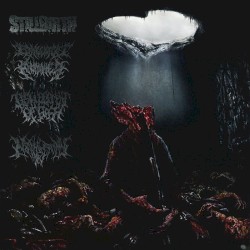 Pathology of Anomalous Origin